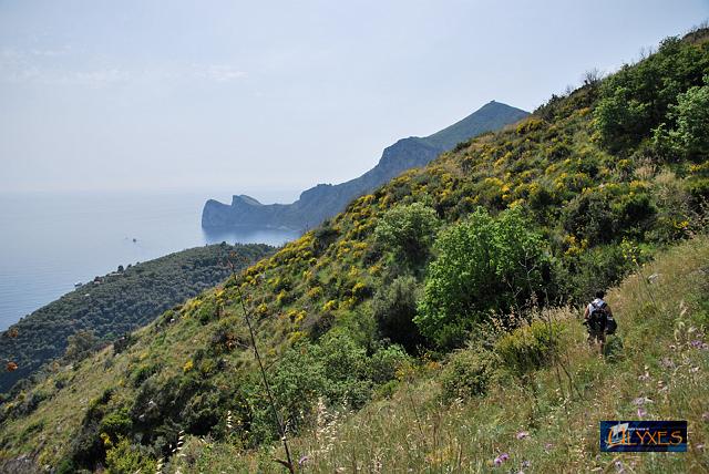 in vista dei pizzi di montalto.JPG